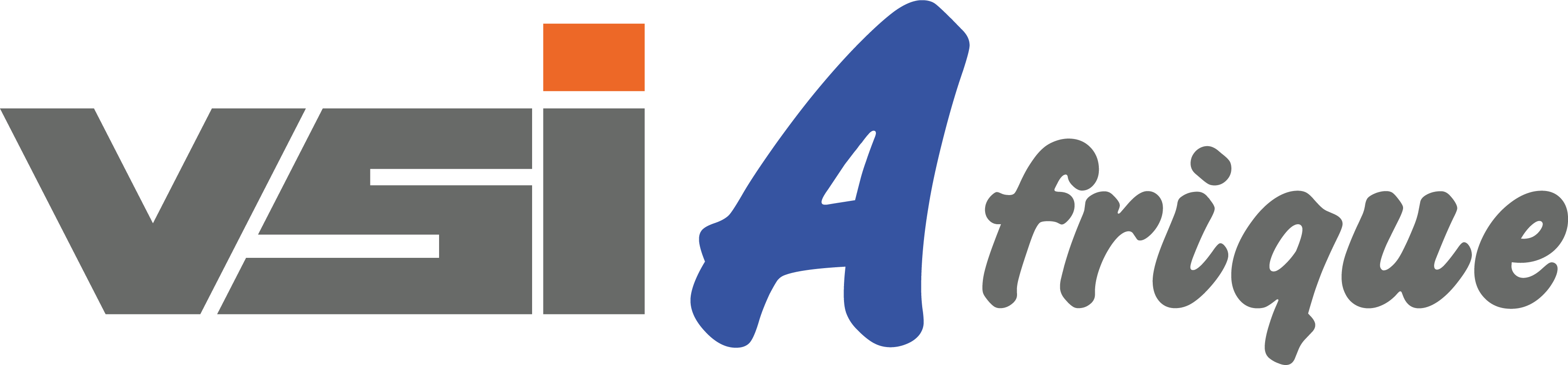 logo VSI Afrique